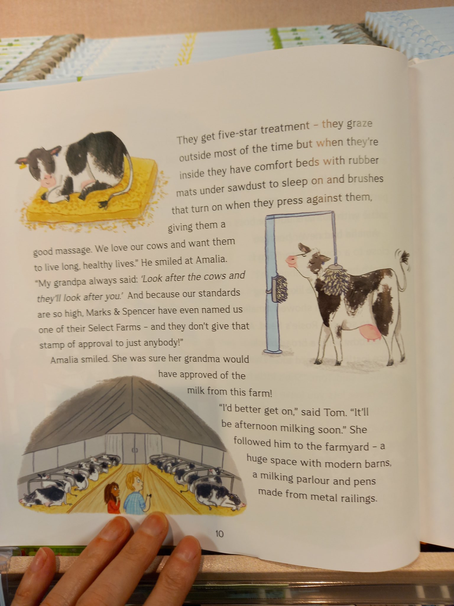 Description of how well M&S treat theirs dairy cows in their new children book "Farm to Foodhall"