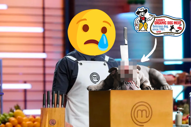 Chefs quit MasterChef after being ordered to cook meat provided by Elwood's Organic Dog Meat