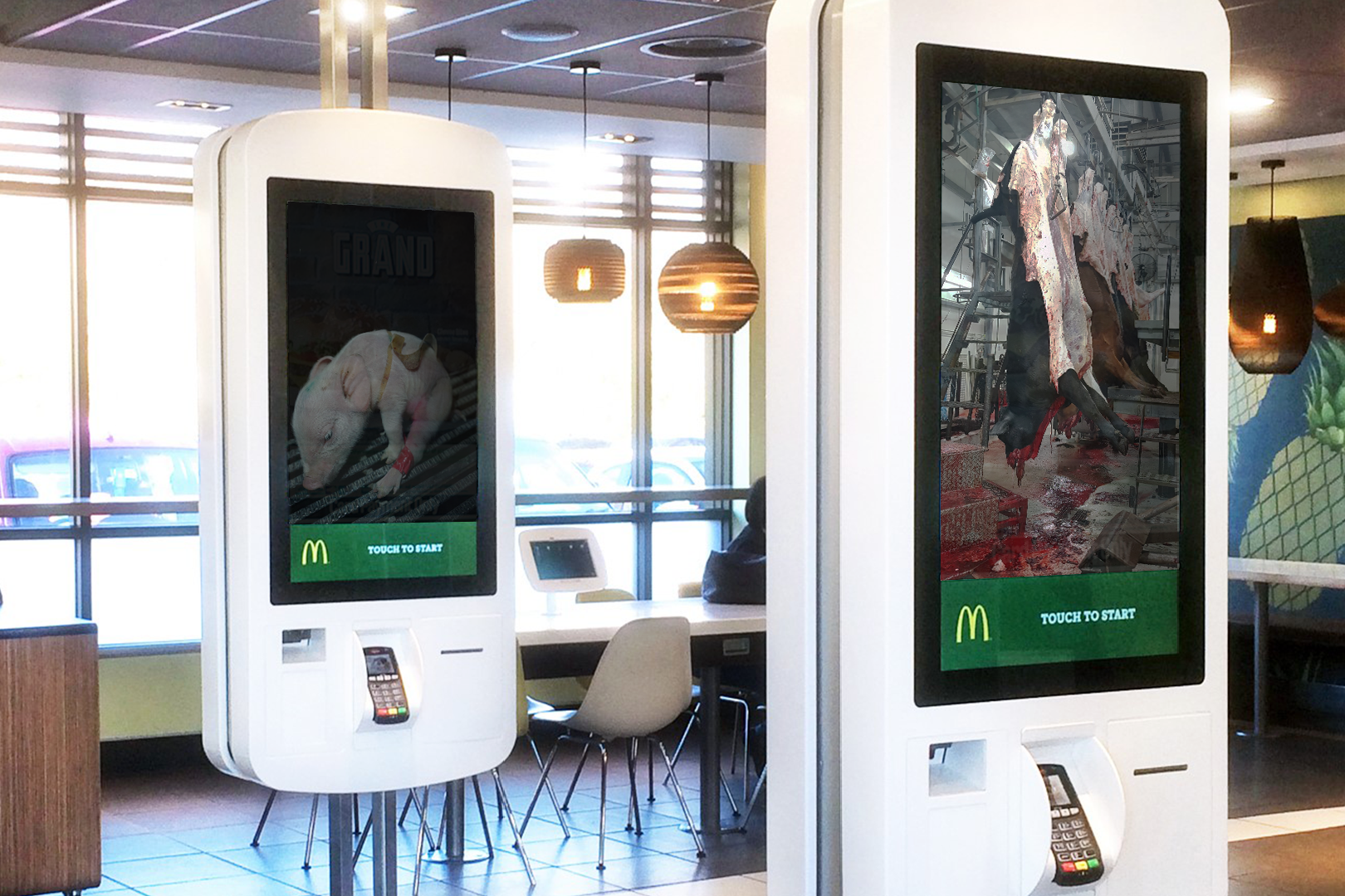 McDonald's must display footage of how animals are treated of farms and slaughterhouses